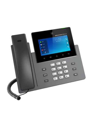 Grandstream GXV3450